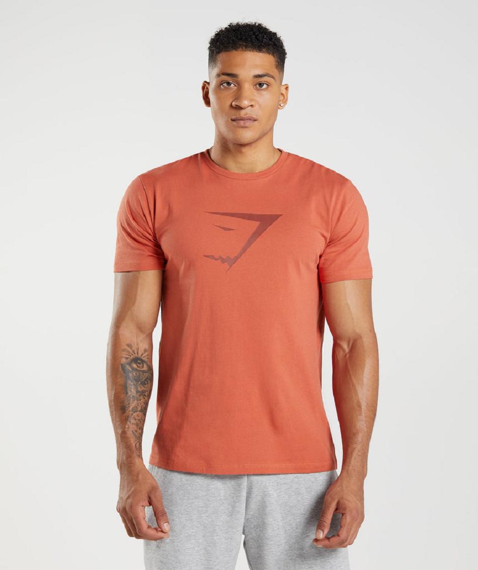 Gymshark Sharkhead Infill Muške T Shirts Crvene | HR 2500LIS